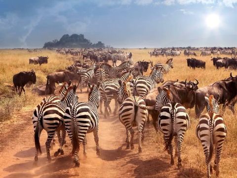 長線A_工作區域 1 複本 48