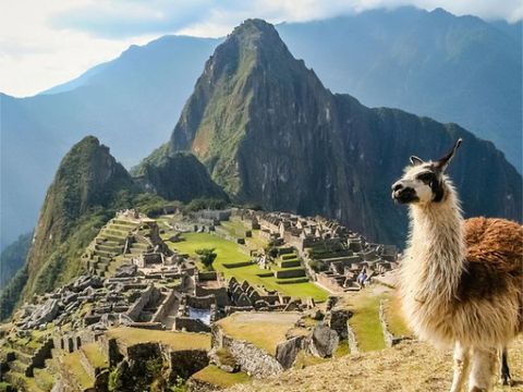 長線A_工作區域 1 複本 51