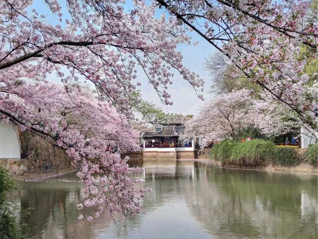 中國A_工作區域 1 複本 17