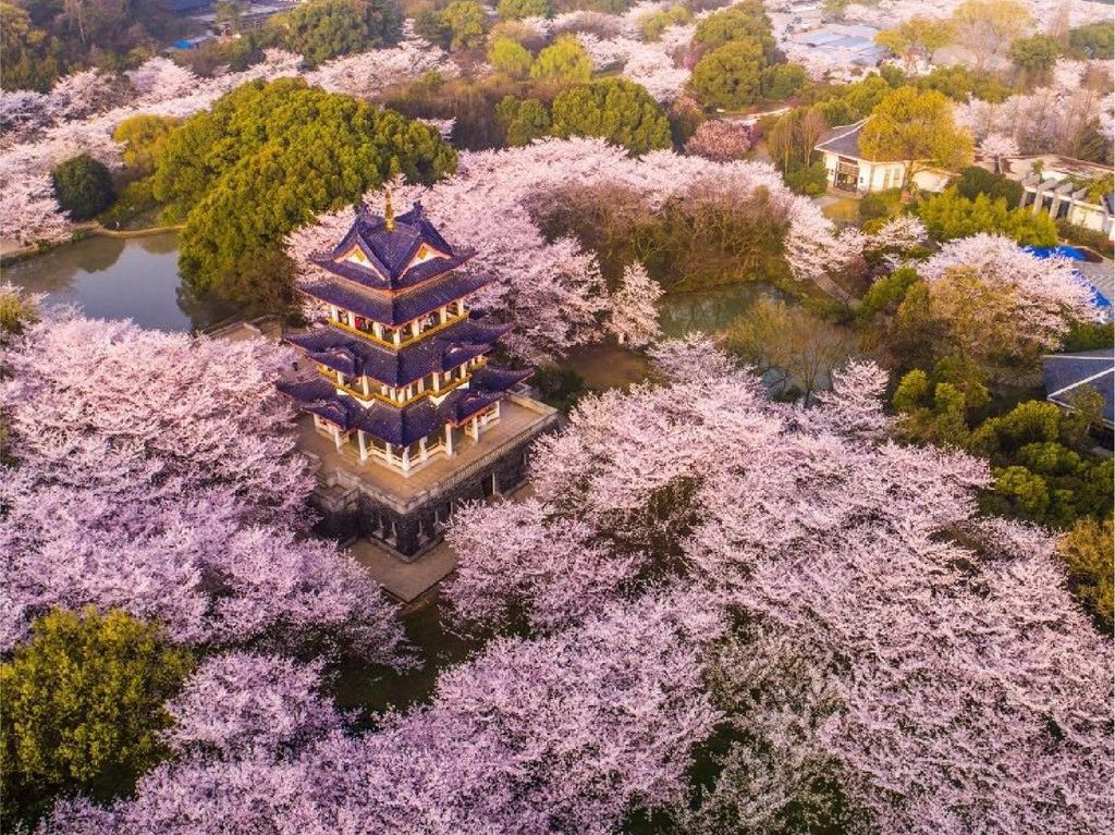 中國A_工作區域 1 複本 16