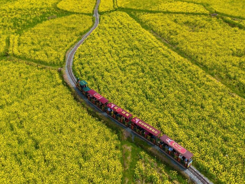 中國A_工作區域 1 複本 21