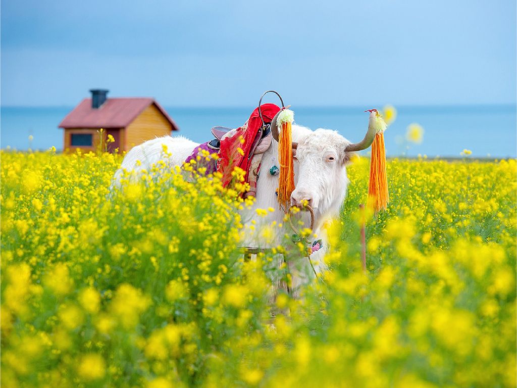 中國A_工作區域 1 複本 39