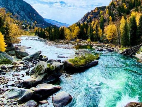 中國A_工作區域 1 複本 43