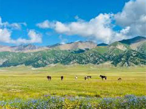 中國A_工作區域 1 複本 40