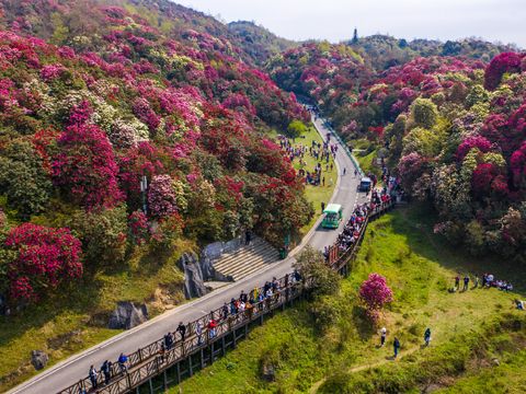 中國B_工作區域 1 複本 14