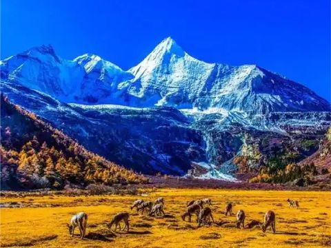 中國B_工作區域 1 複本 28