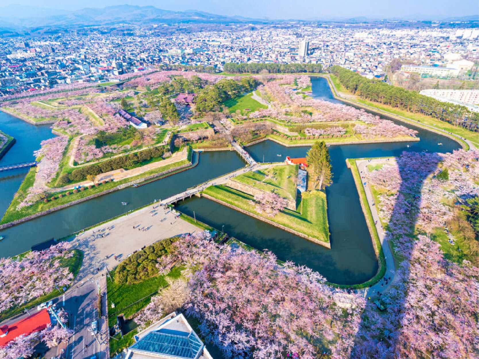 賞櫻北海道