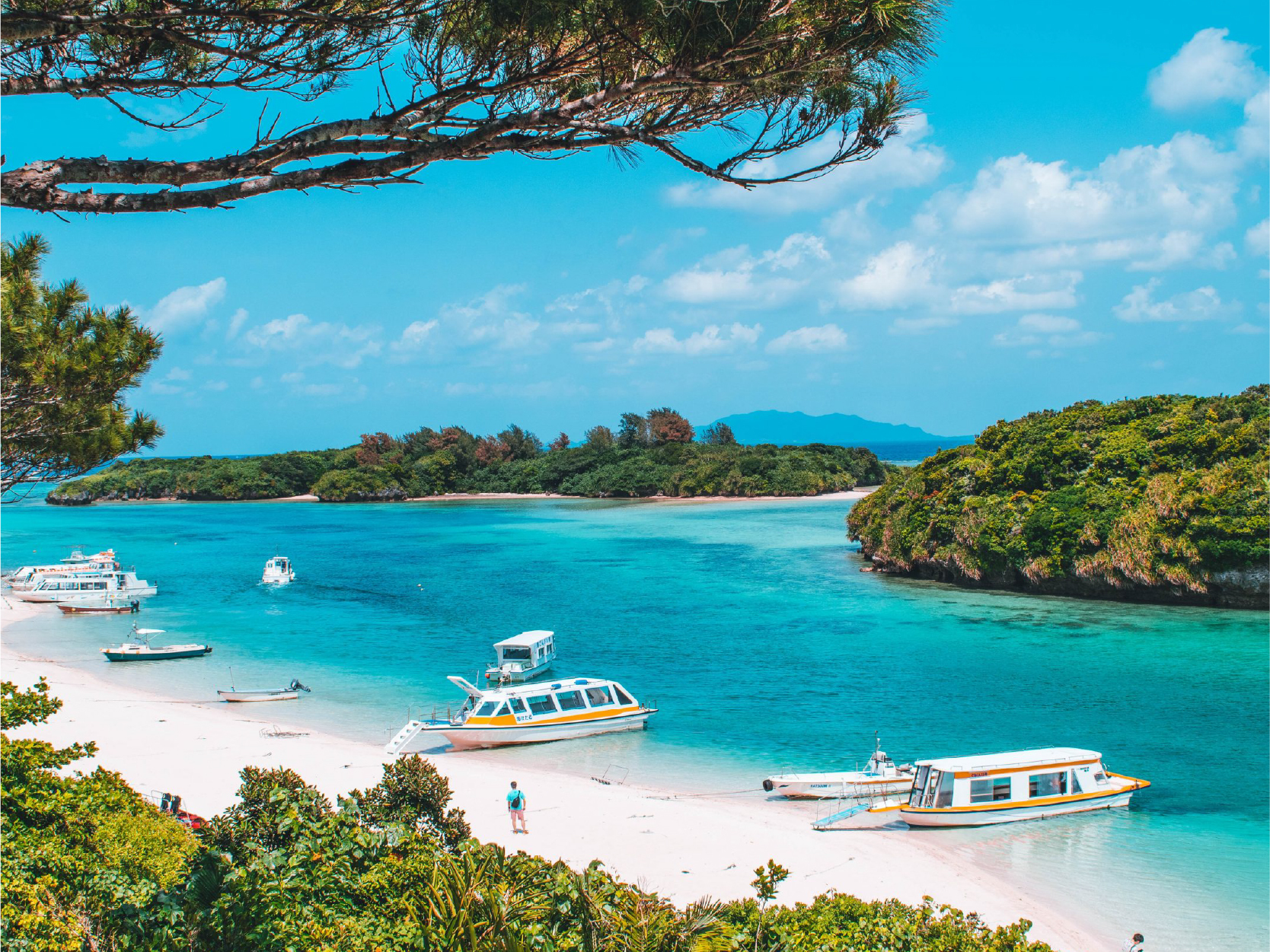 畔畔官網_日本A_工作區域 1 複本 5