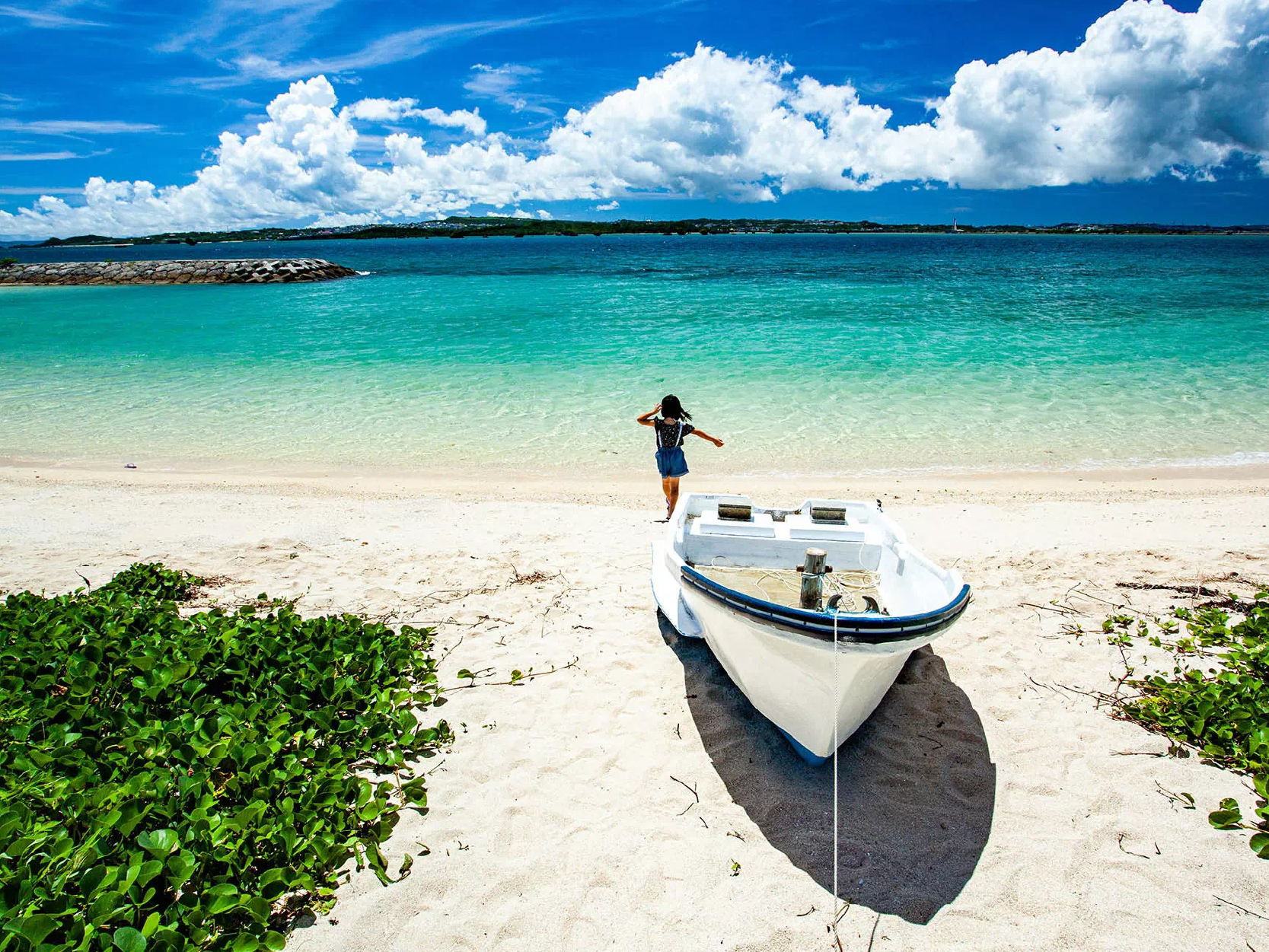 畔畔官網_日本A_工作區域 1 複本 6