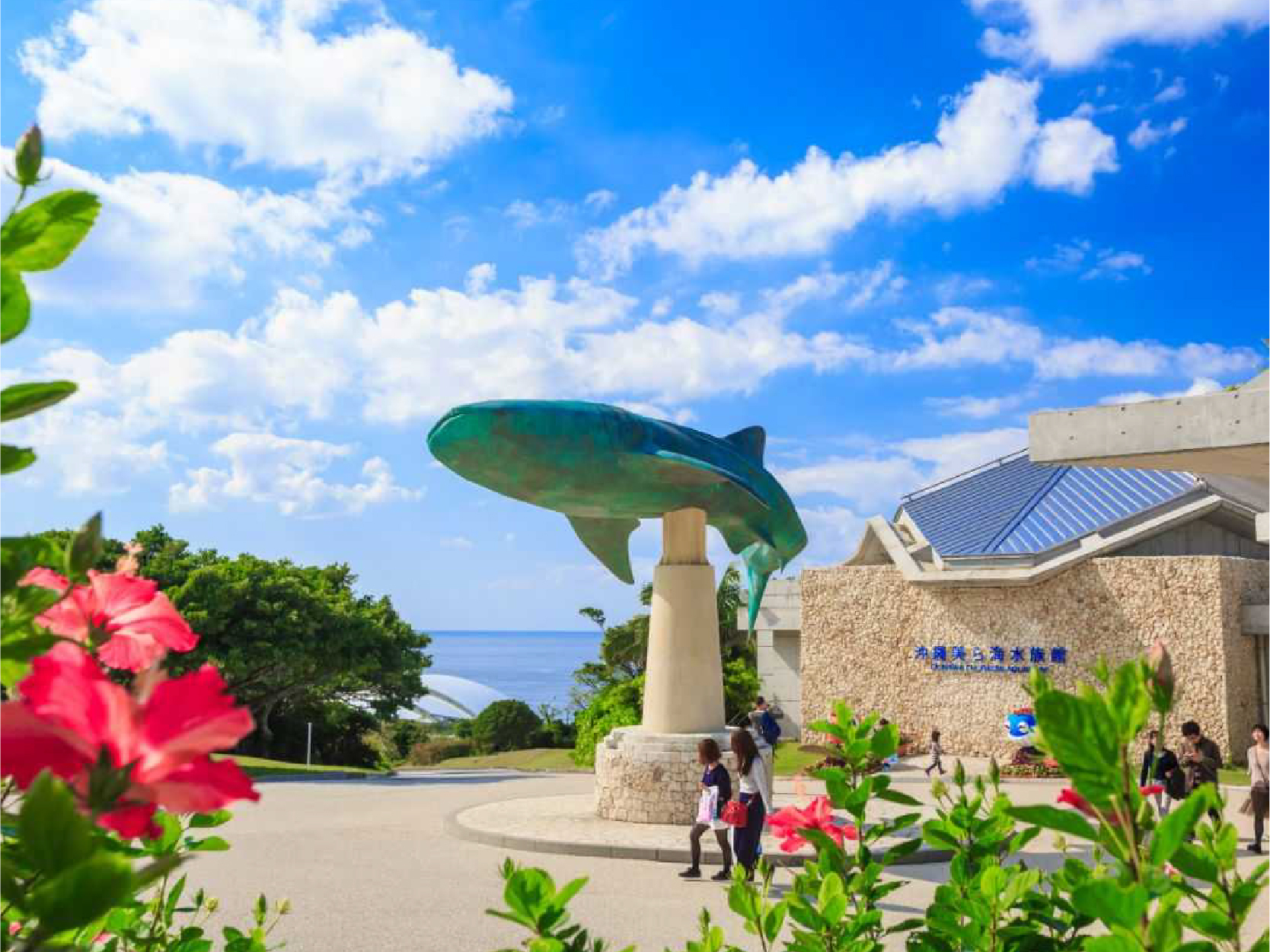 畔畔官網_日本A_工作區域 1 複本 8