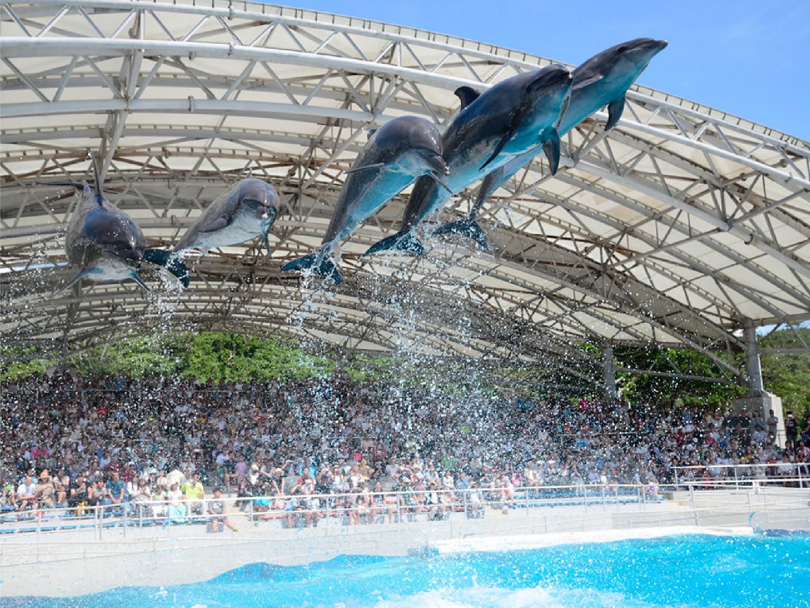 畔畔官網_日本A_工作區域 1 複本 11