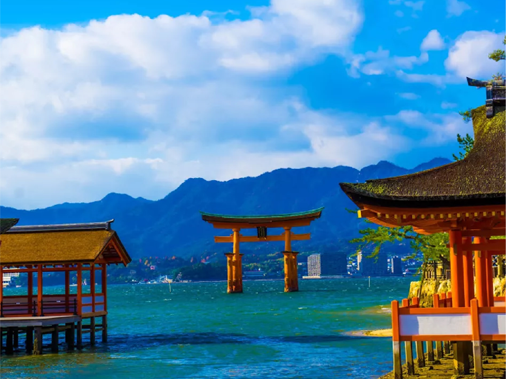 畔畔官網_日本A_工作區域 1 複本 44