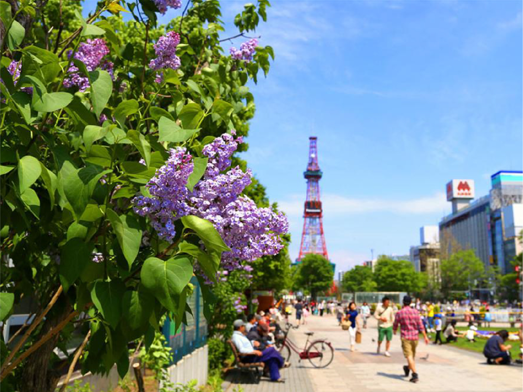 畔畔官網_日本B_工作區域 1 複本 2