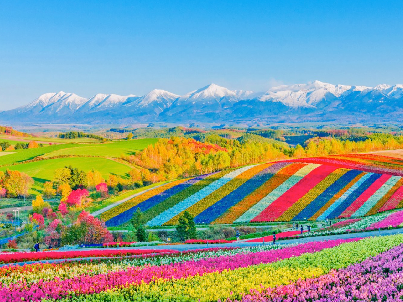 畔畔官網_日本B_工作區域 1 複本 16