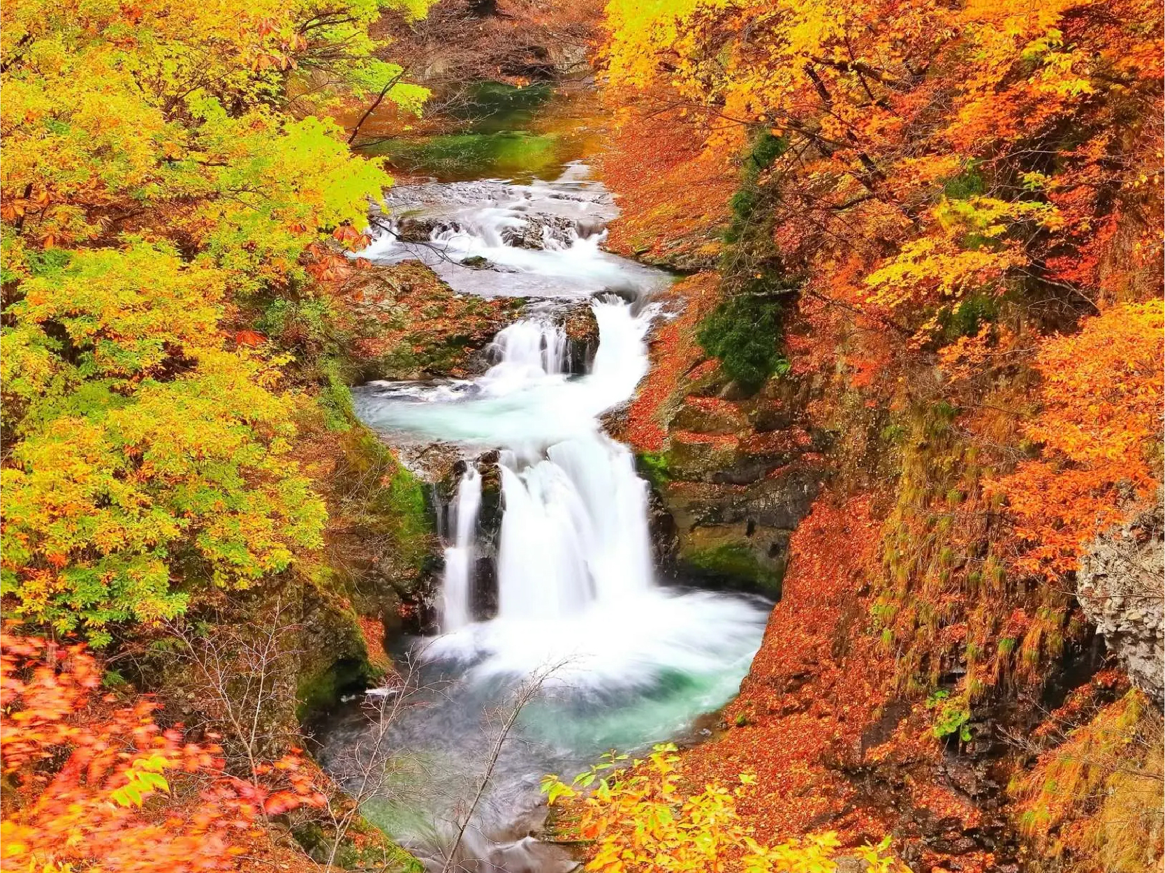 畔畔官網_日本B_工作區域 1 複本 27