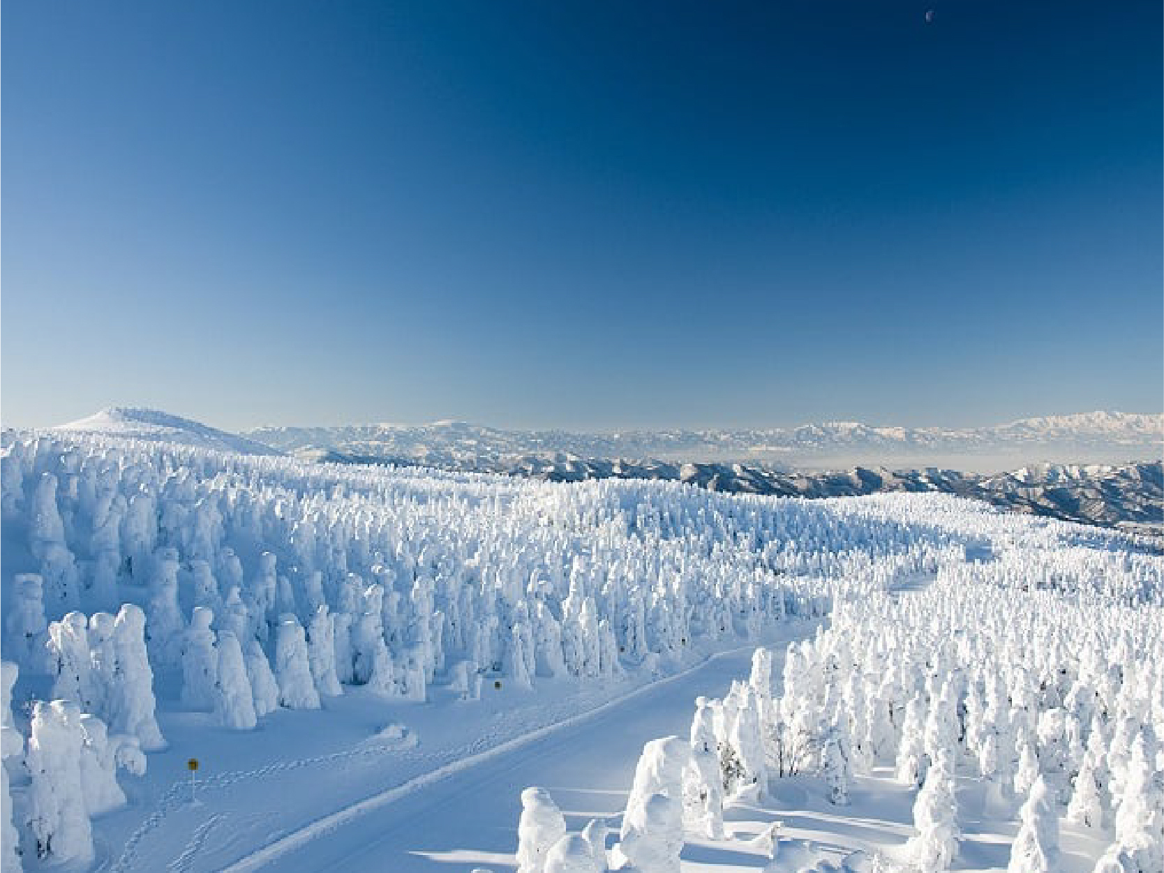 畔畔官網_日本B_工作區域 1 複本 29