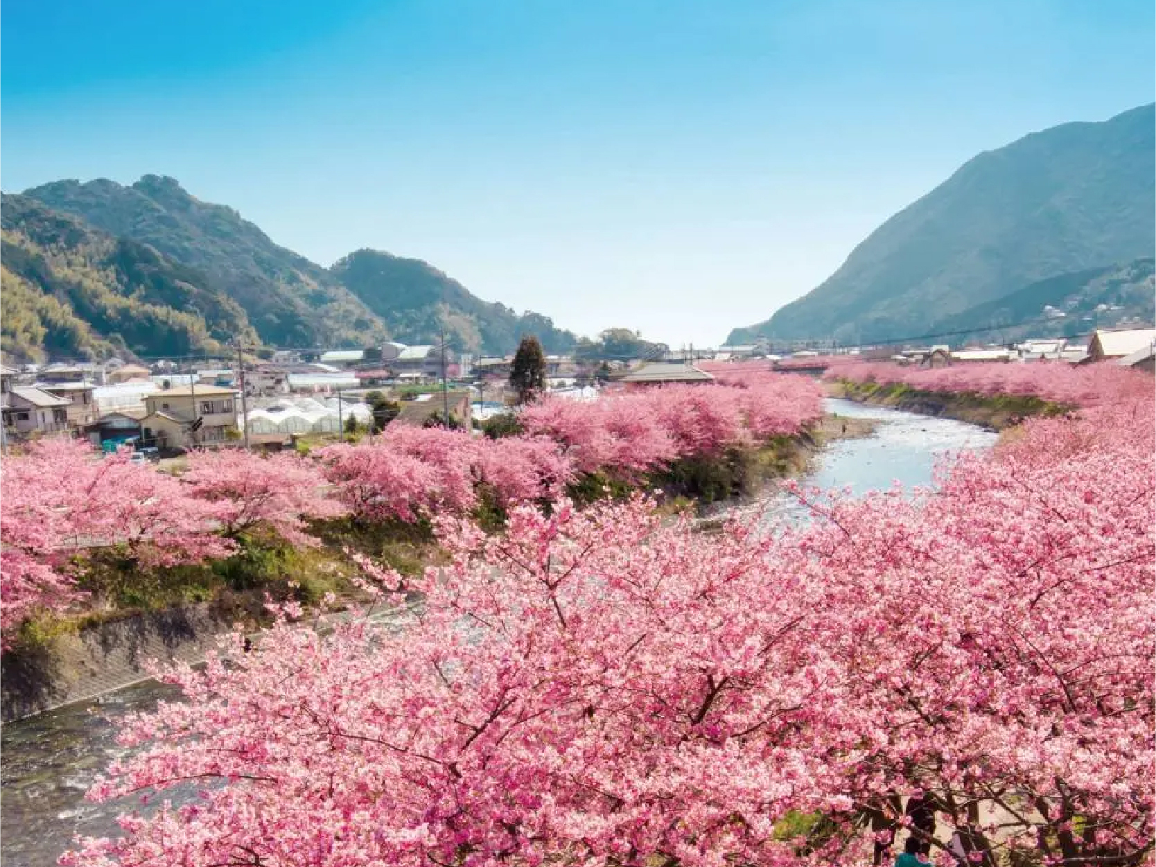 畔畔官網_東京_大阪商品圖片_工作區域 1 複本 13