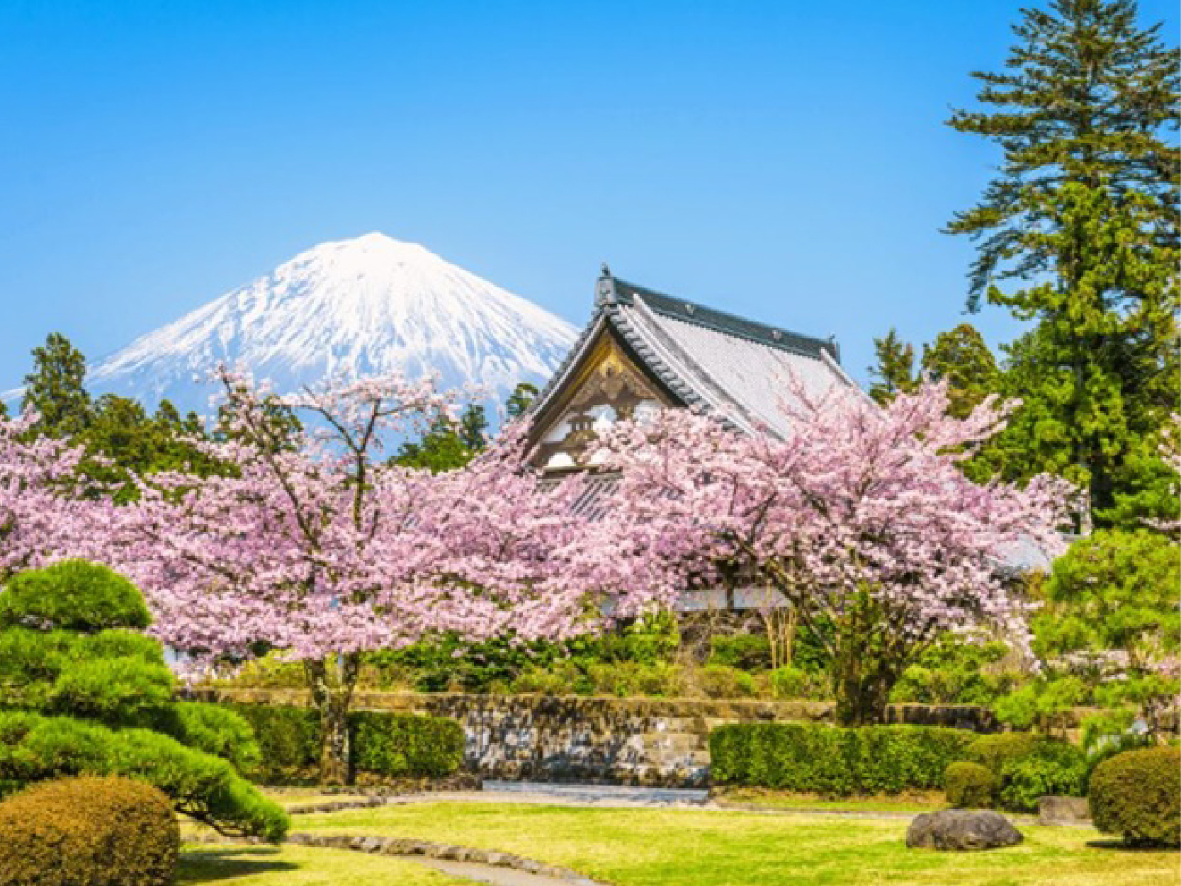 畔畔官網_東京_大阪商品圖片_工作區域 1 複本 14