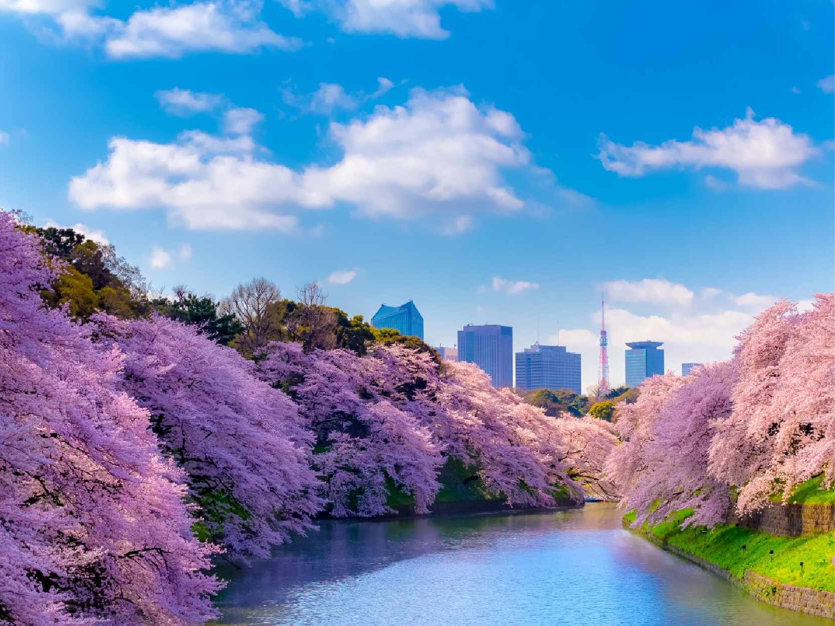 畔畔官網_東京_大阪商品圖片_工作區域 1 複本 15