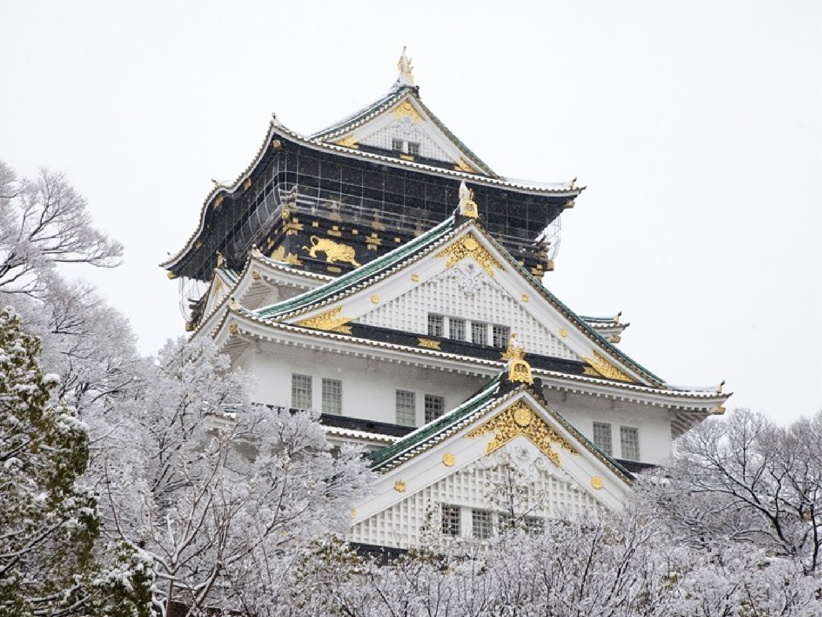 畔畔官網_東京_大阪商品圖片_工作區域 1 複本 29