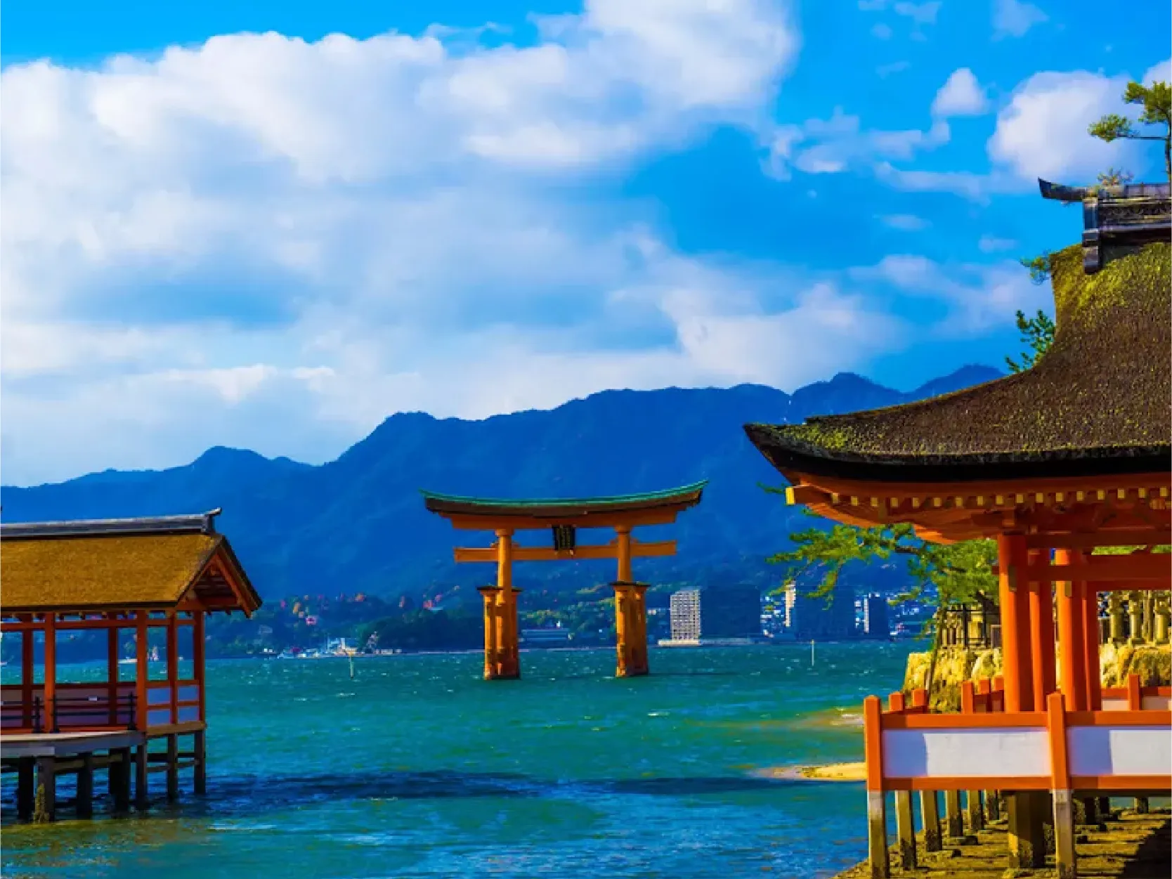 畔畔官網_東京_大阪商品圖片_工作區域 1 複本 42