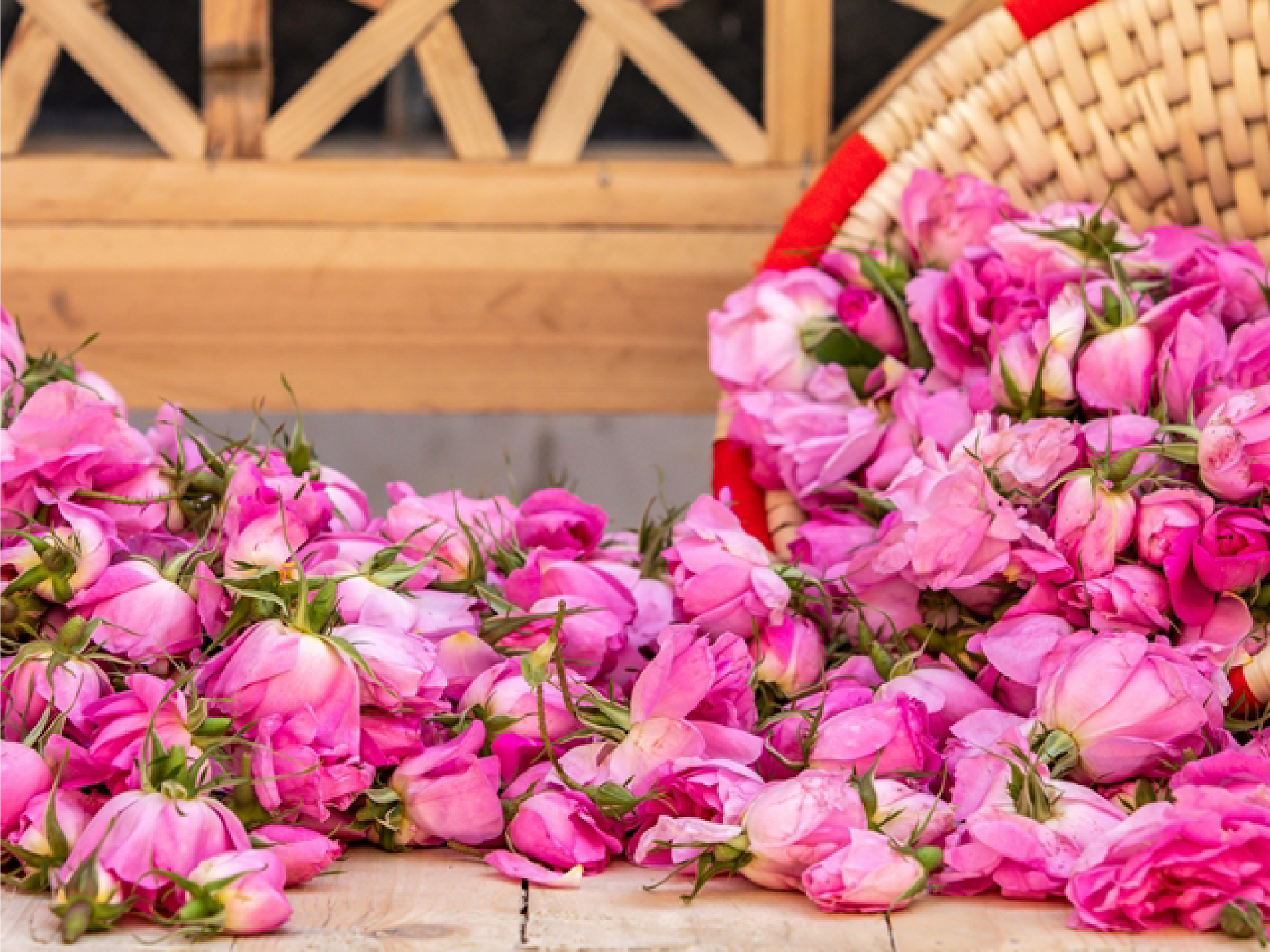 長線A_工作區域 1 複本 59