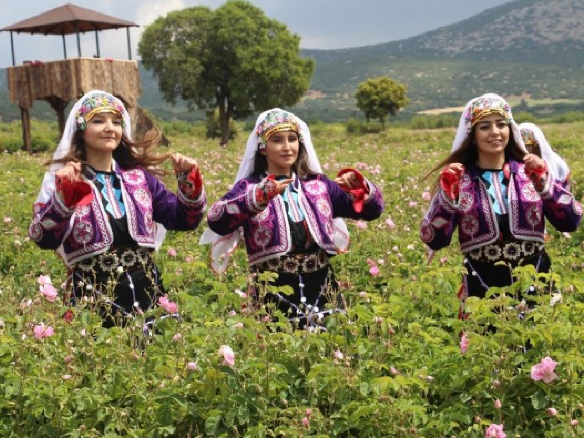 長線A_工作區域 1 複本 61