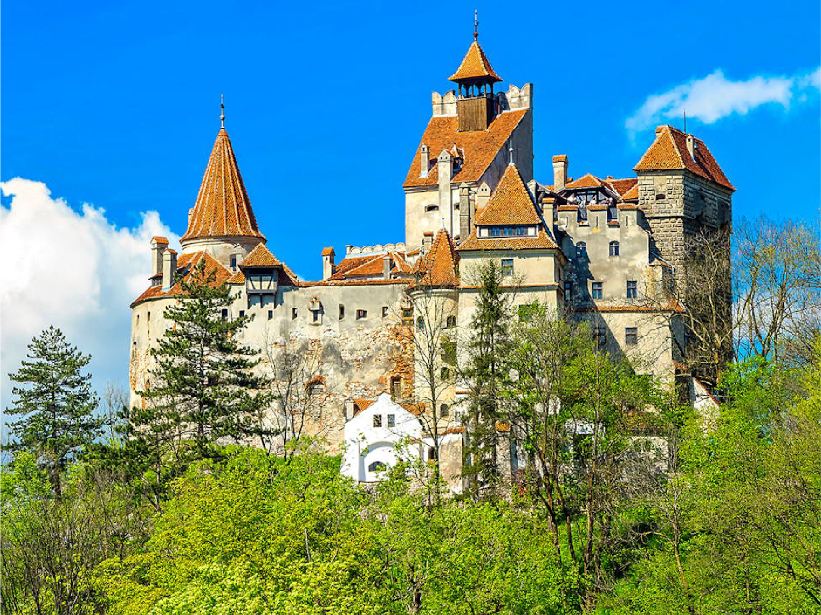 長線B_工作區域 1 複本 5