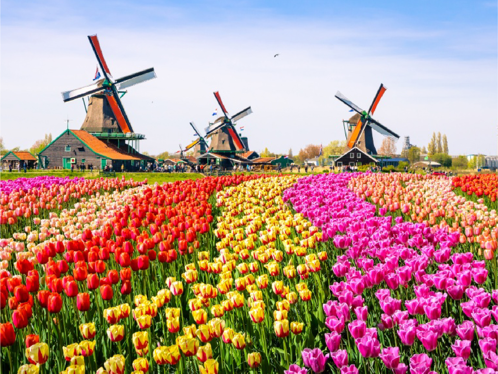 長線B_工作區域 1 複本 38