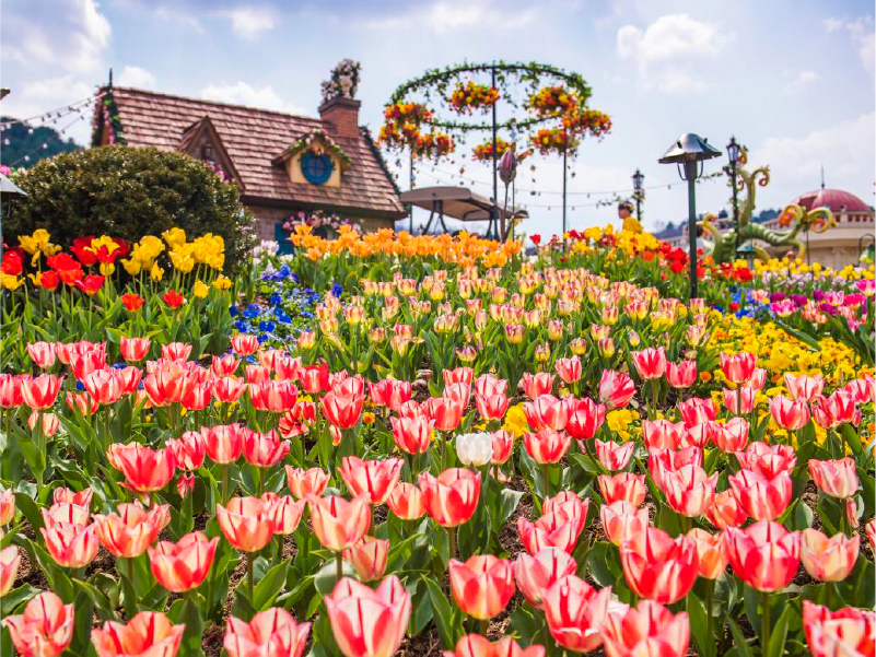 官網_韓國_商品圖片_工作區域 1 複本 4