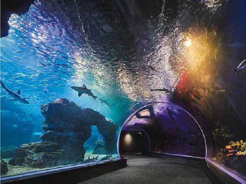 官網_韓國_商品圖片_工作區域 1 複本 34