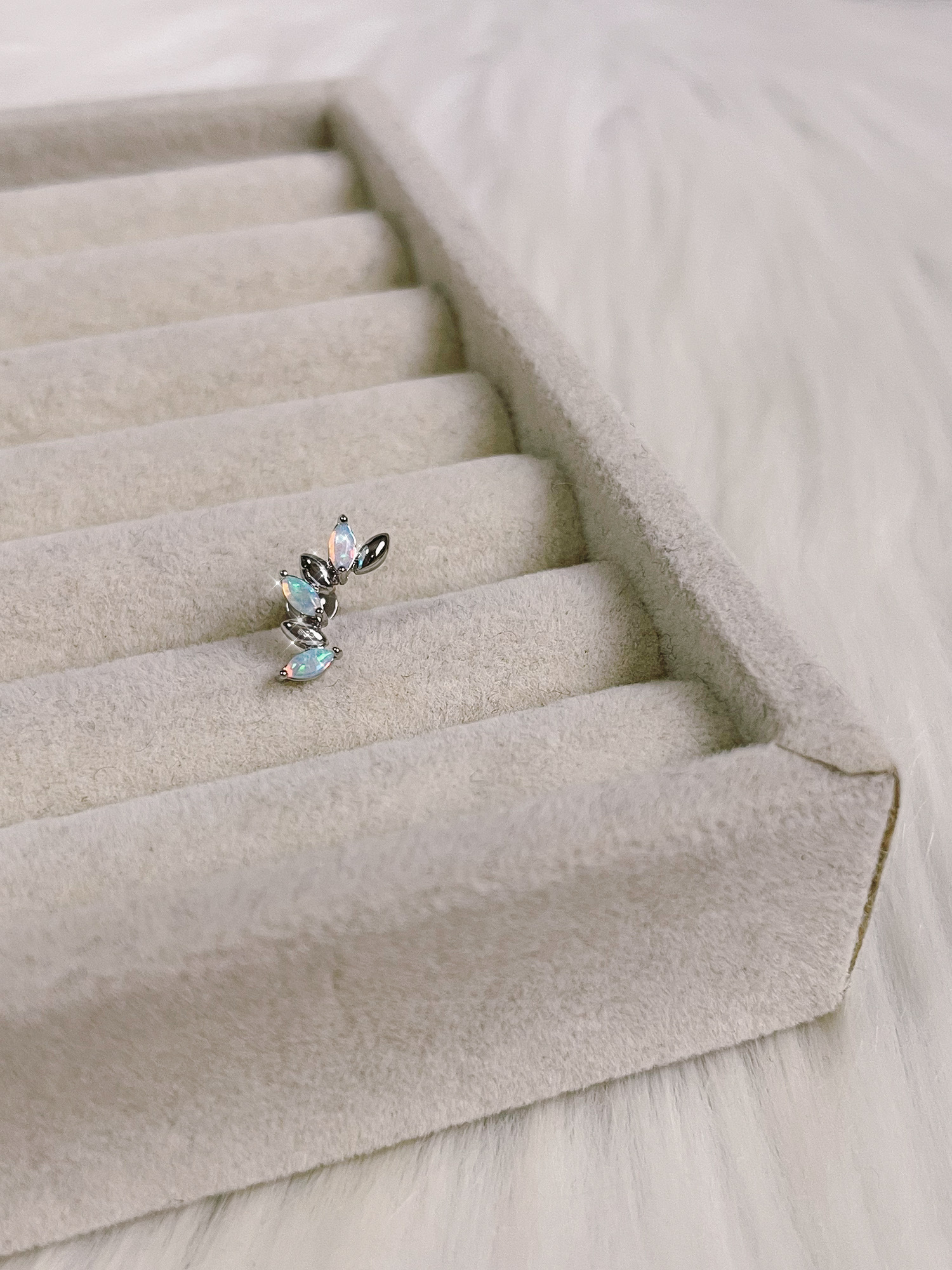 image_7DD9749C-FA72-494D-85A5-0937211E98A7_1776087869