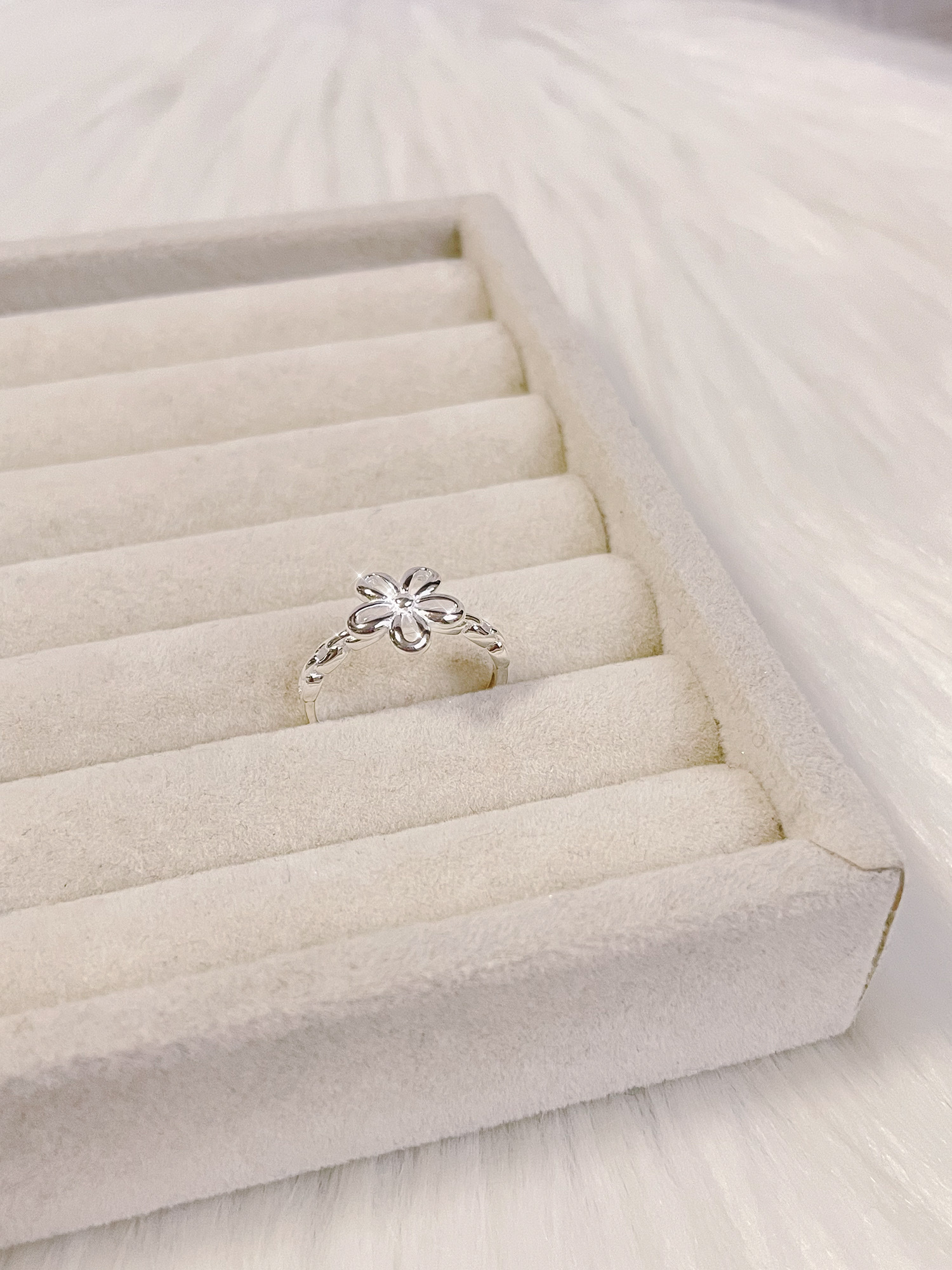 image_2C469A6D-BF38-42D4-82D0-C99364DA7EA5_1762655098