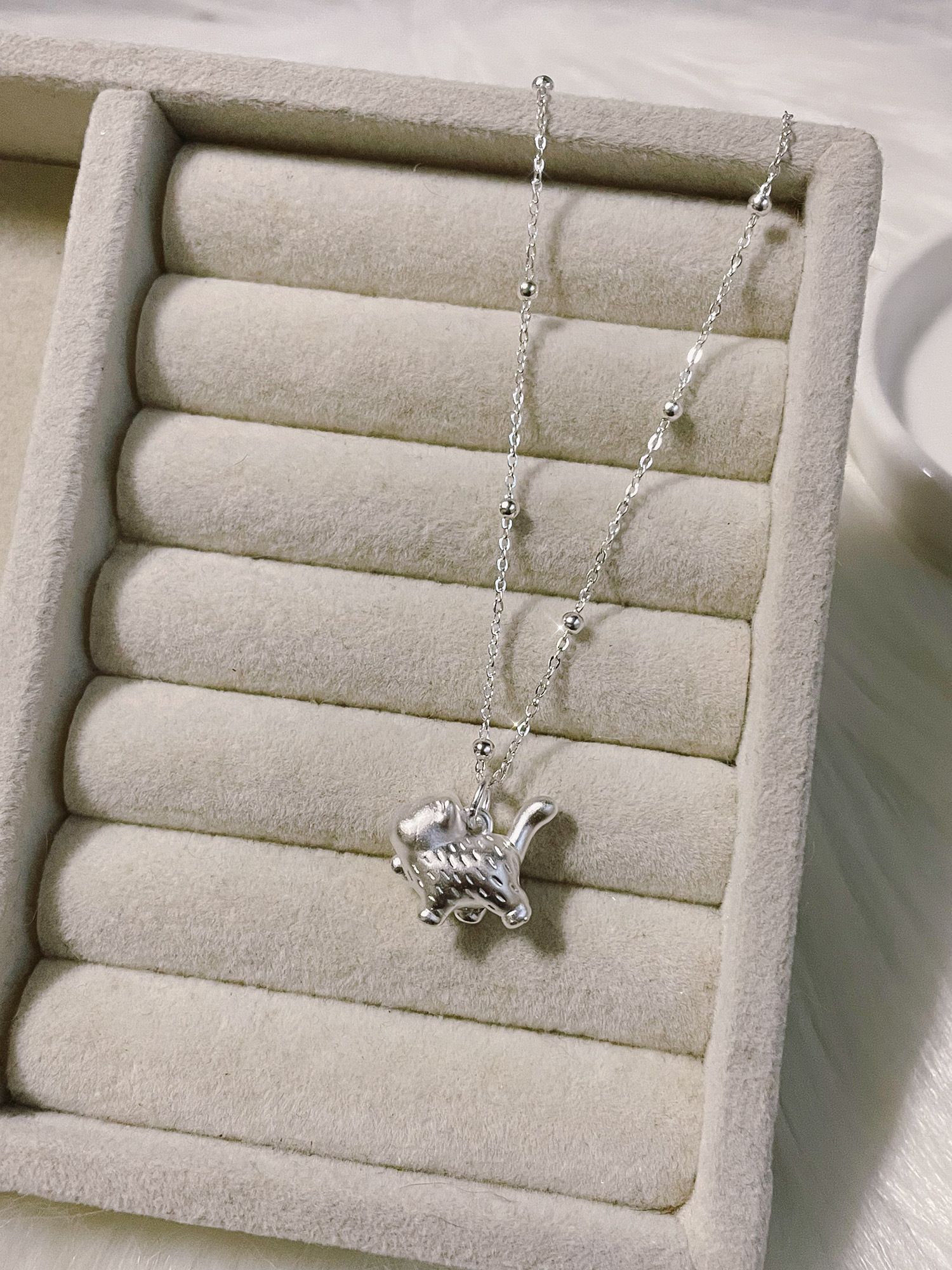 image_55F2FF92-4D99-4262-8962-5ACF446ABEB2_1766469648