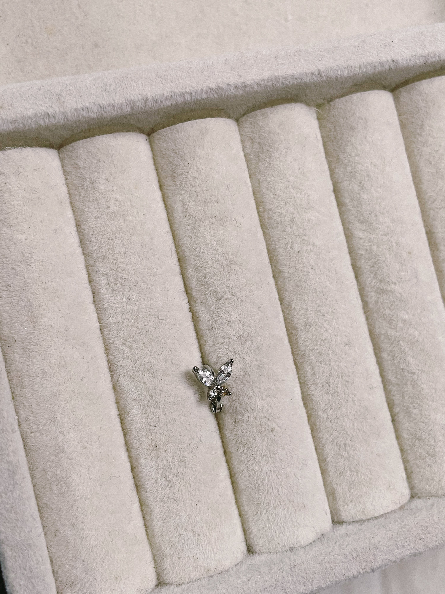 image_6FAC3114-29F3-450E-AC70-A192667F040C_1768129359