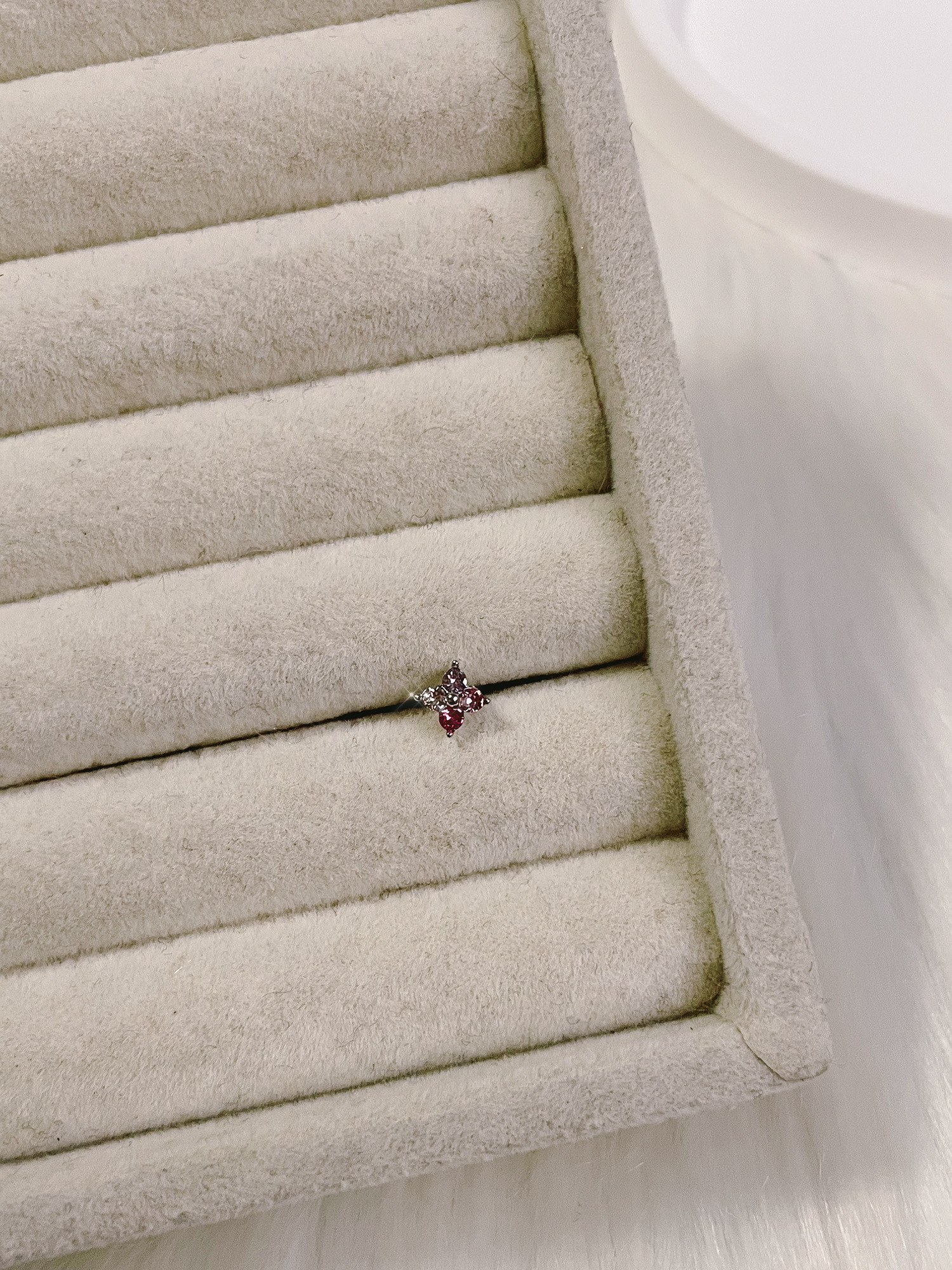 image_6E88F450-F778-4335-B497-F31BB6698584_1770003934