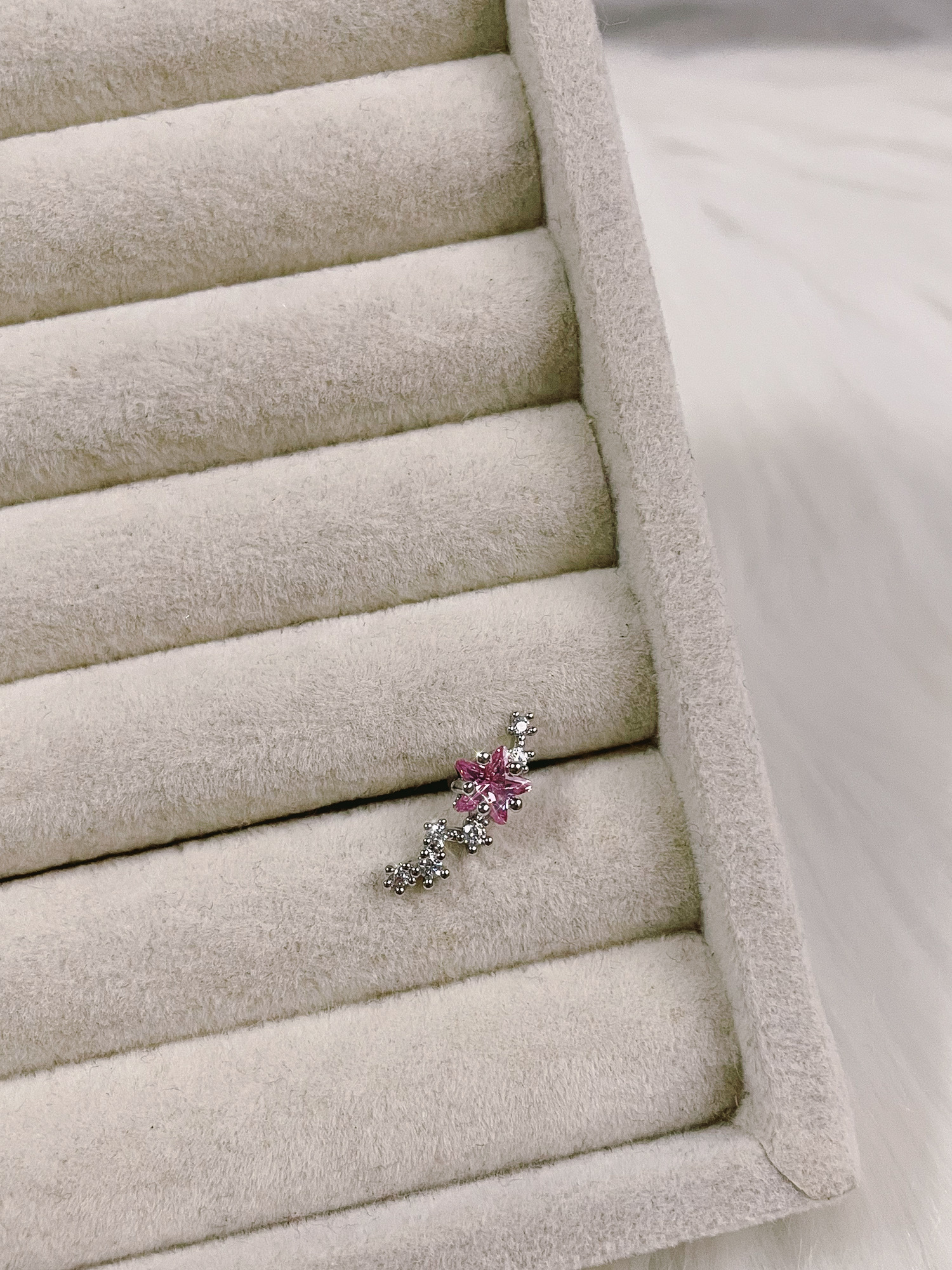 image_5C67D9DA-BC52-46B2-BC39-DBB5B4C4BEDE_1770485063