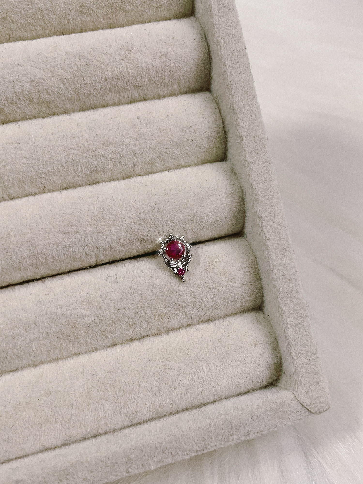 image_2904ECE2-628D-4077-B743-FB2AF02CE943_1772178974