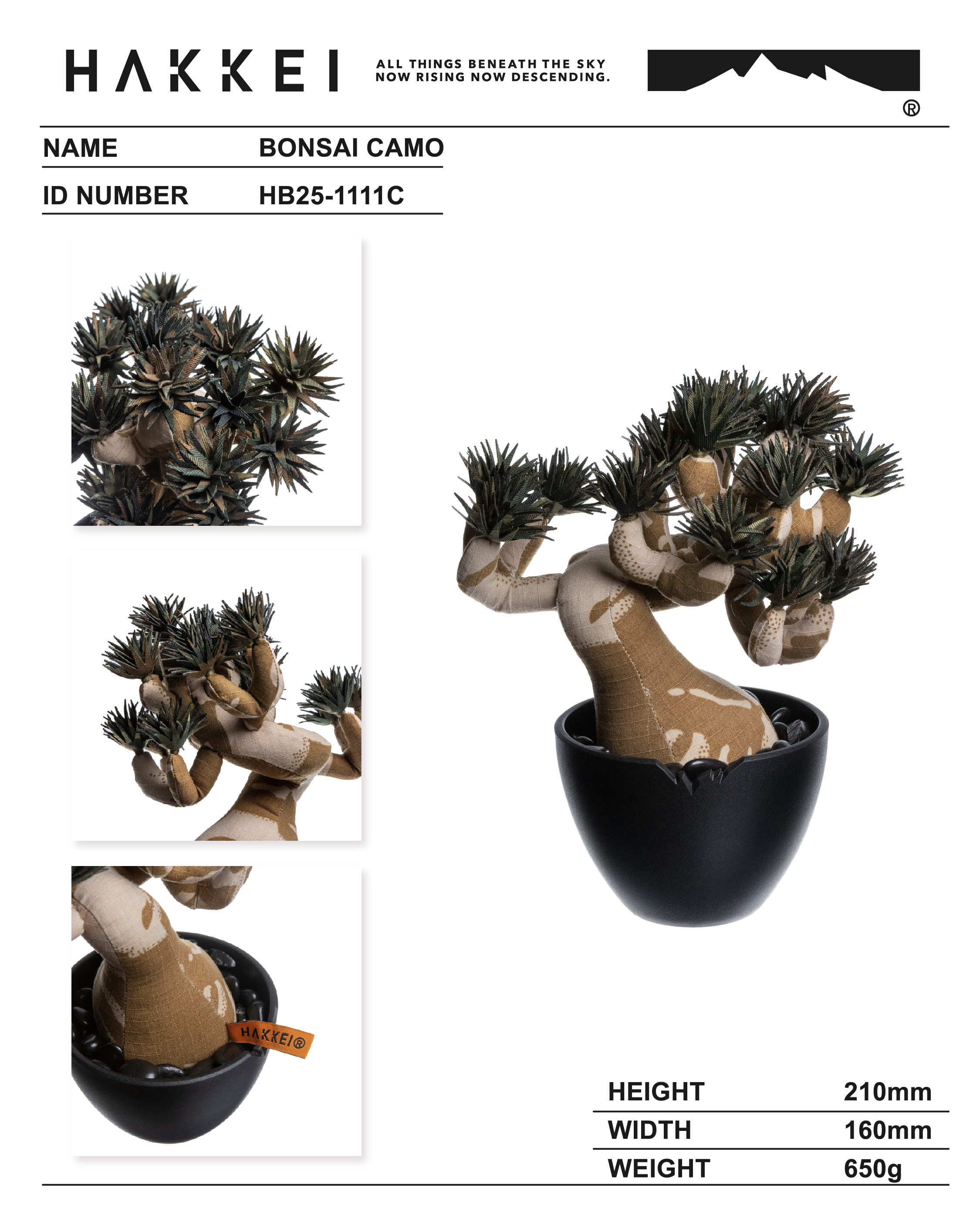 五葉松-沙色尺寸圖