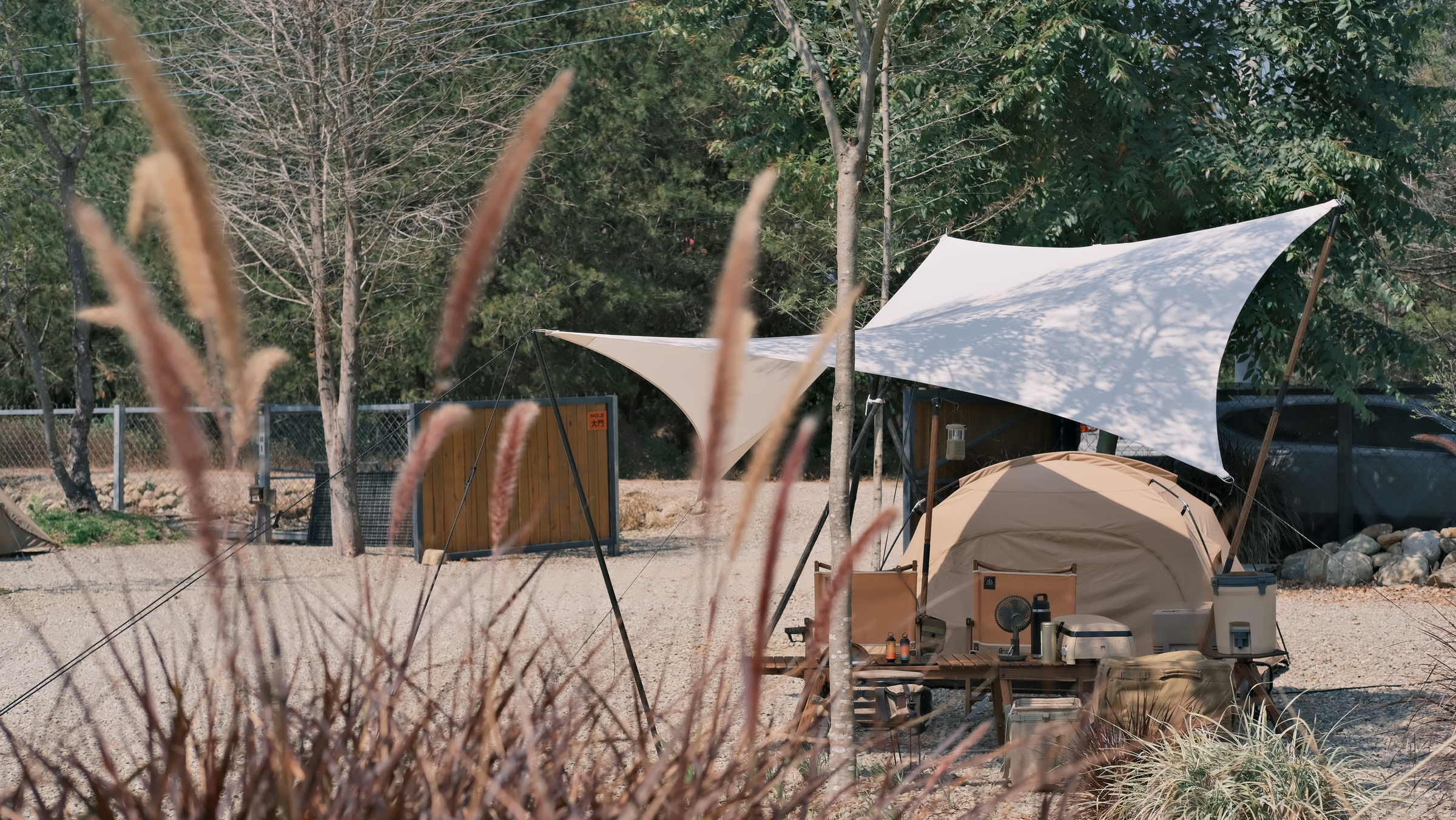 MOSS TENTS Pentawing Small – 不二吉選 BUERJI SELECT MOSS TENTS Pentawing Small – 不二吉選 BUERJI SELECT