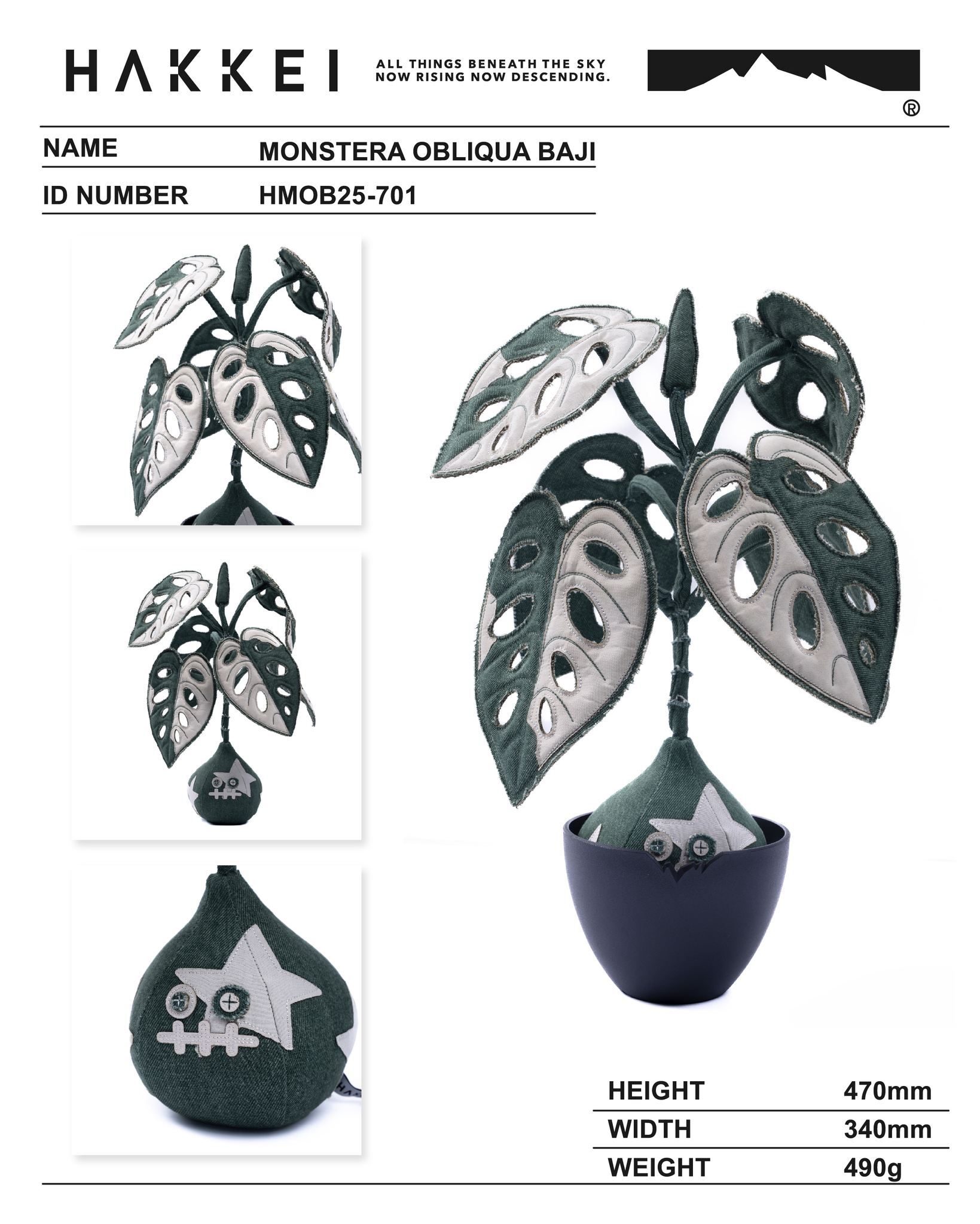 527981240_1335321428599081_8502824595859078722_n