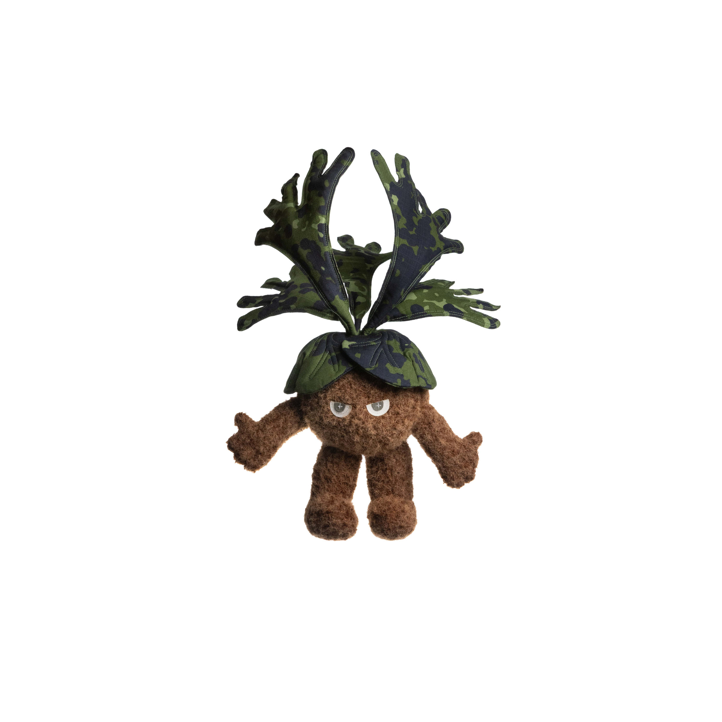 2025.12.06-鹿角蕨白-5410_0