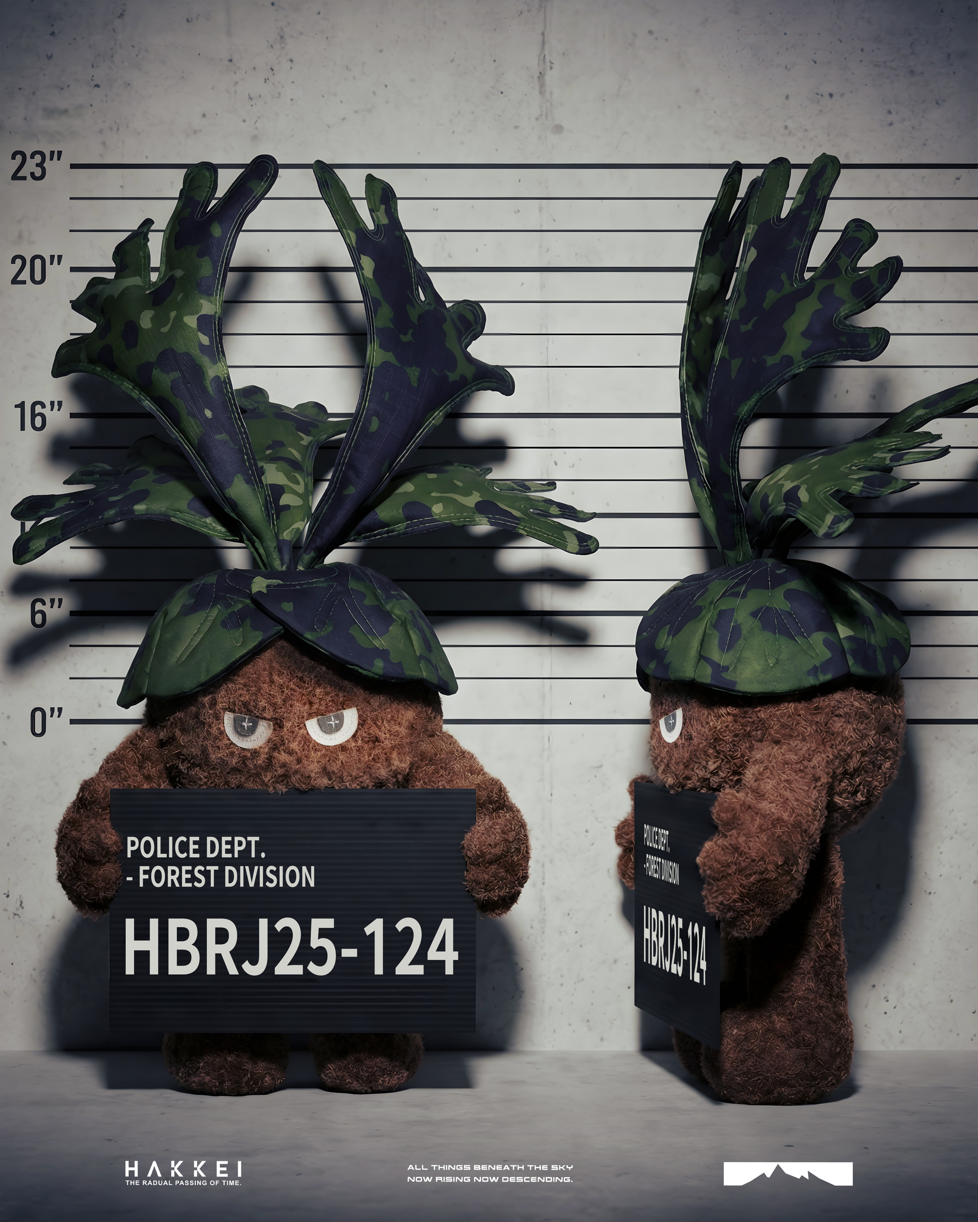 2025.12.13-鹿角蕨形象照-2-1_0