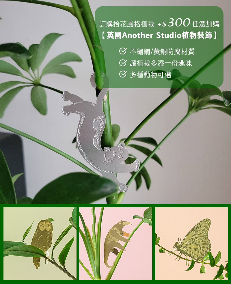 黃銅植物裝飾加購