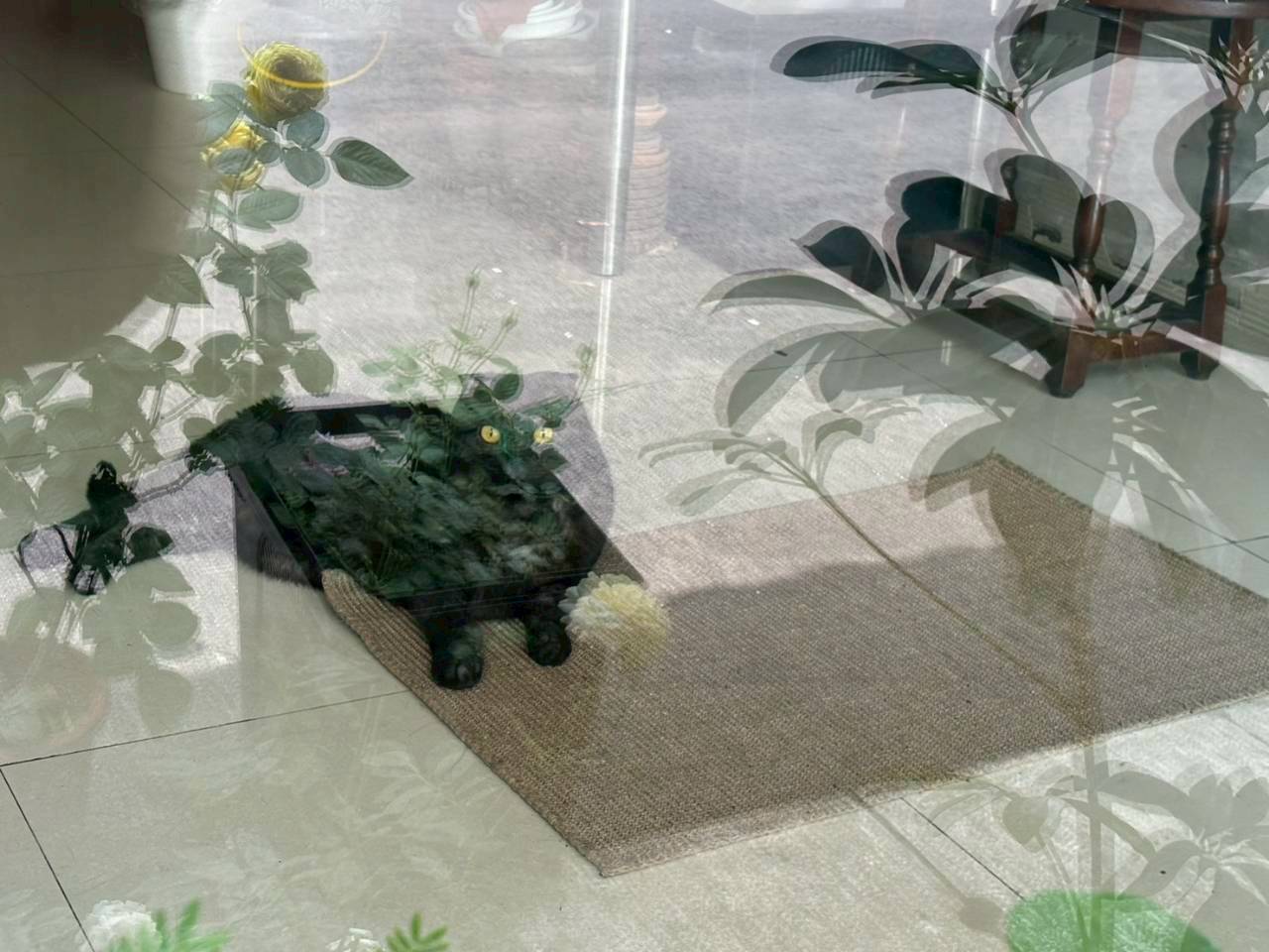 LINE_ALBUM_2026蒙在哪_260608_1
