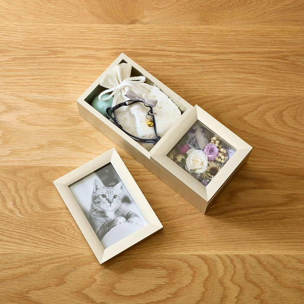 imgi_6_4982023100393_4 (1)