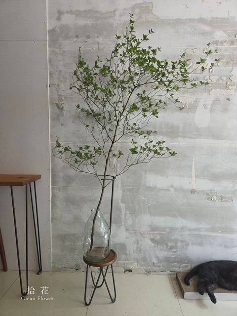 00000720小八里1200