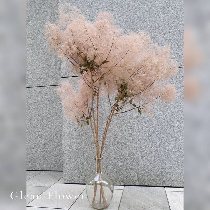 tw-11134207-7qul4-lkalvvcysfpy7a