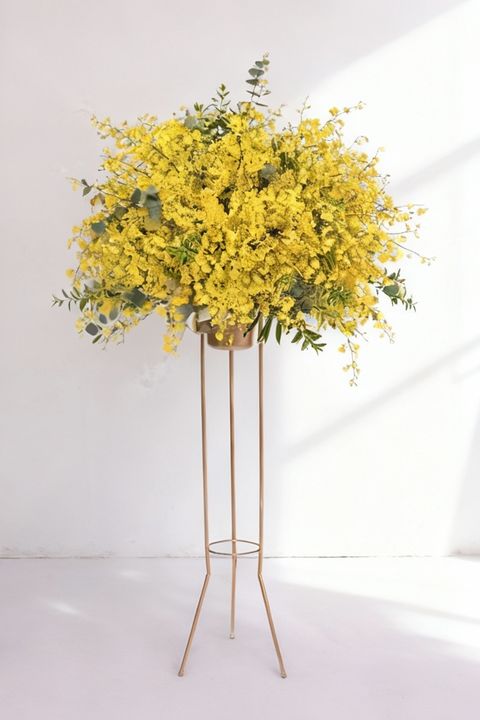 477a756fd58330d632c16597ff82bce2