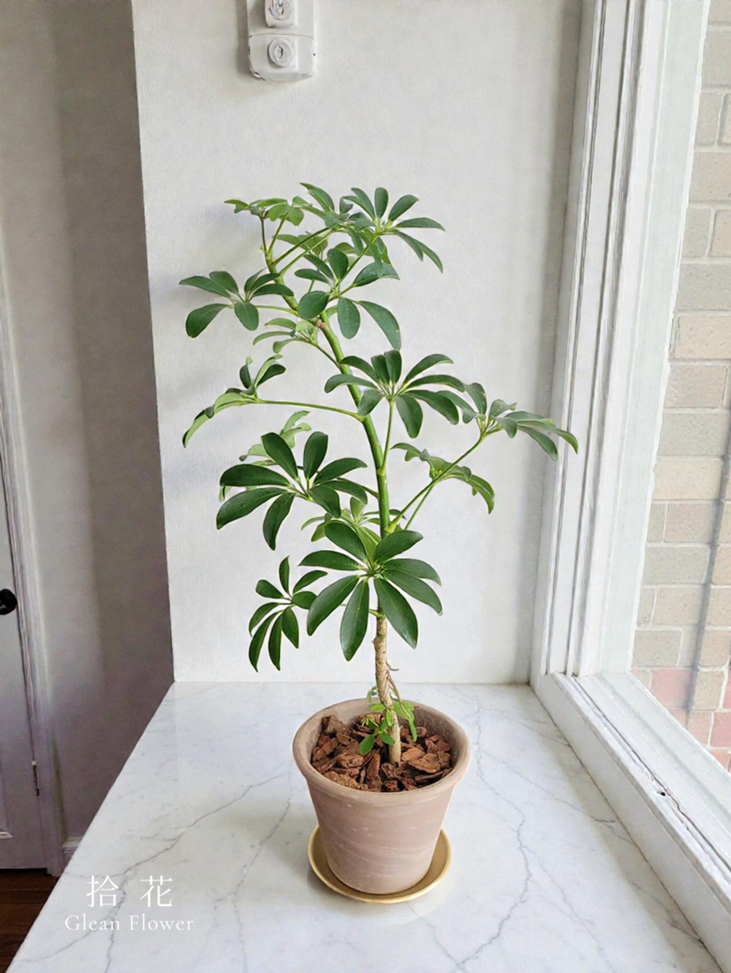 transparent-Photoroom (3)